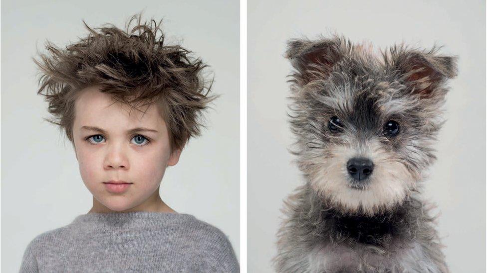 A young boy with blue eyes stares forward next to a fluffy schnoodle with big dark eyes and grey fur.