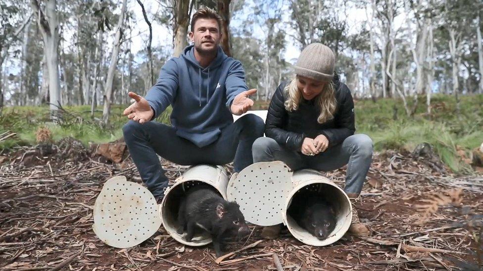 chris-hemsworth-releasing-tasmaninan-devil.