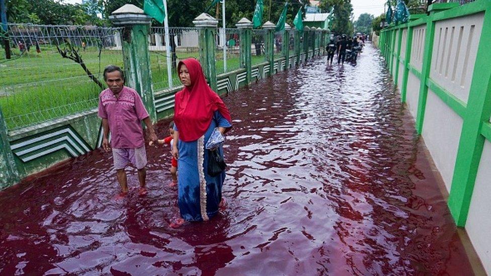 Residents wade through floodwaters dyed red from the waste of a batik factory, a traditional textile product, in Pekalongan, central Java