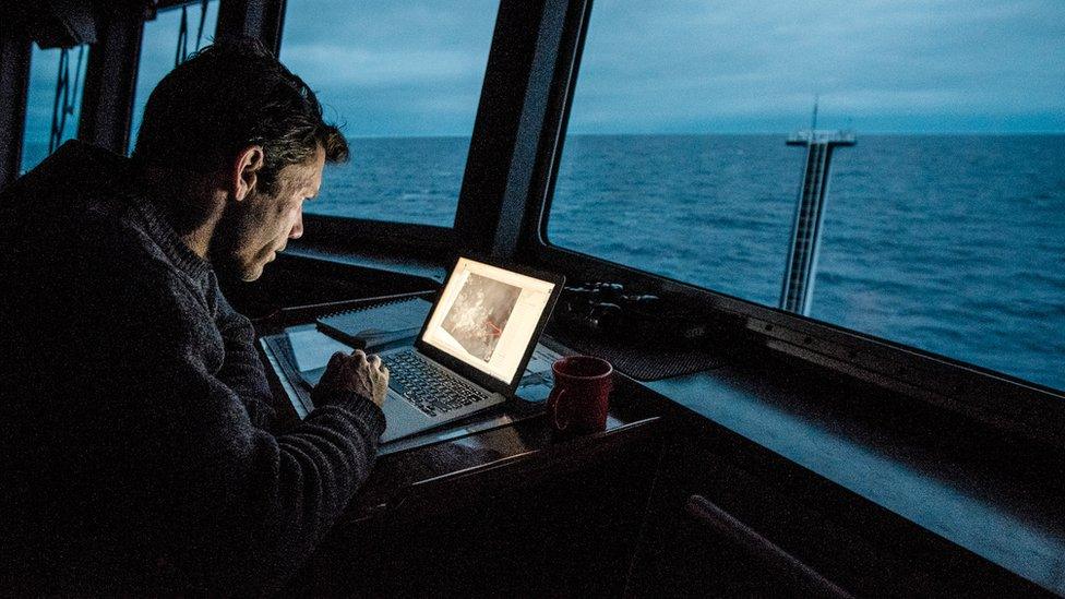 scientist working on a laptop at dusk