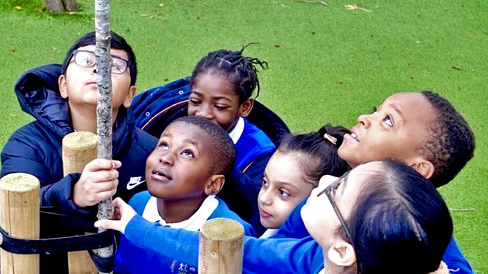 Children at Lowfield Primary School beside rowan tree