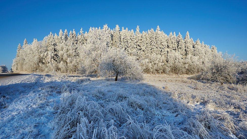 Suur-Munamagi, Estonia's highest point