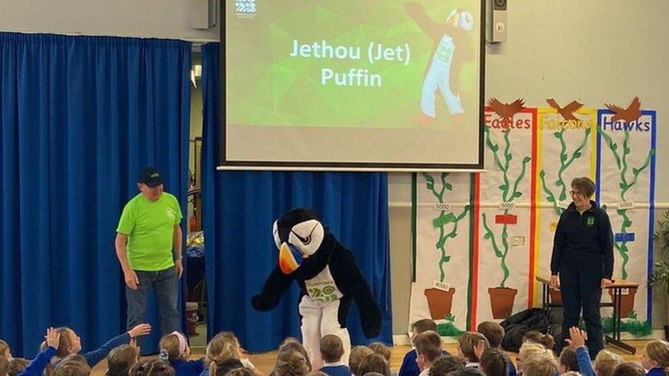 Jethou puffin mascot