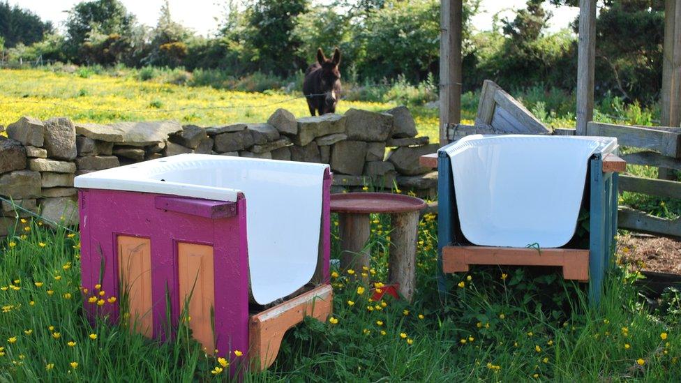 Sawn off baths, with half-door sides sit in a field as lawn furniture.