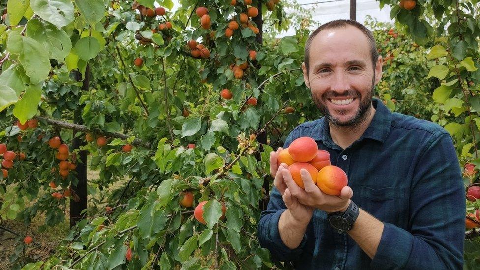 Michael Thorndycroft, Home Farm manager