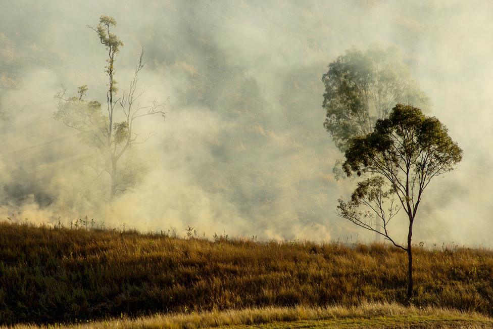 The Land Is Too Hot​ - a grassy landscape with trees in the foreground, surrounded by dense smoke