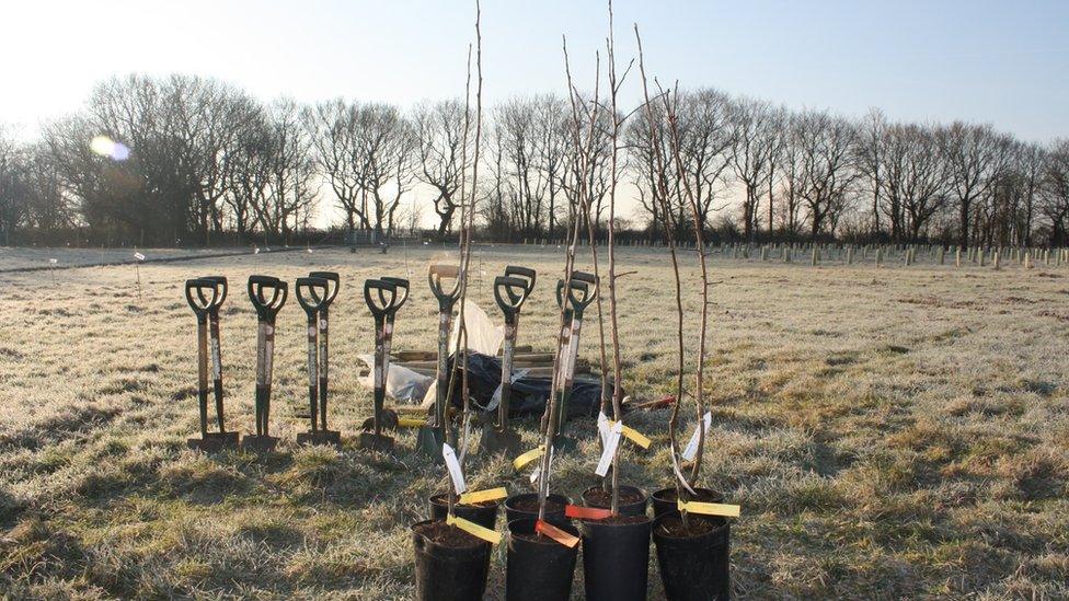 Tree planting kit (Image: City of Trees)