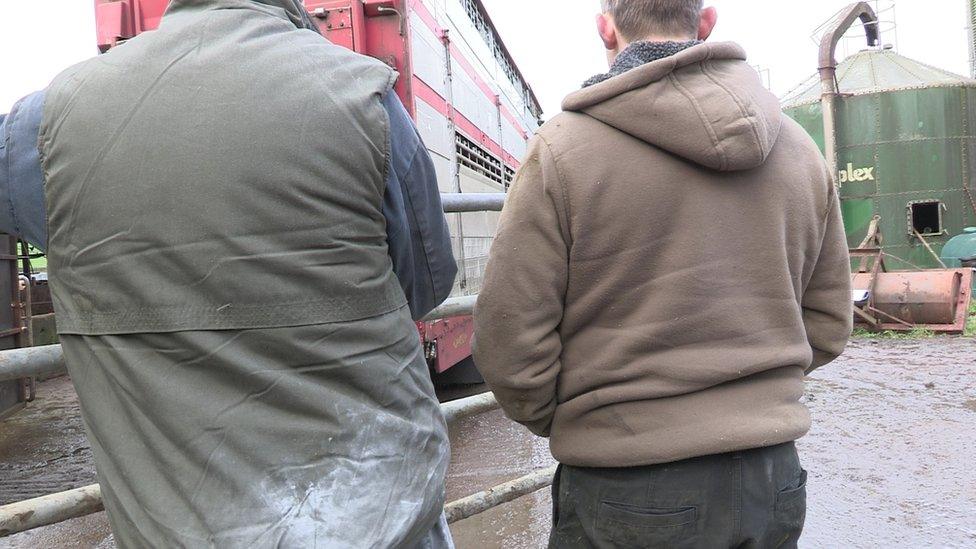 The brothers watch their prize herd being driven away