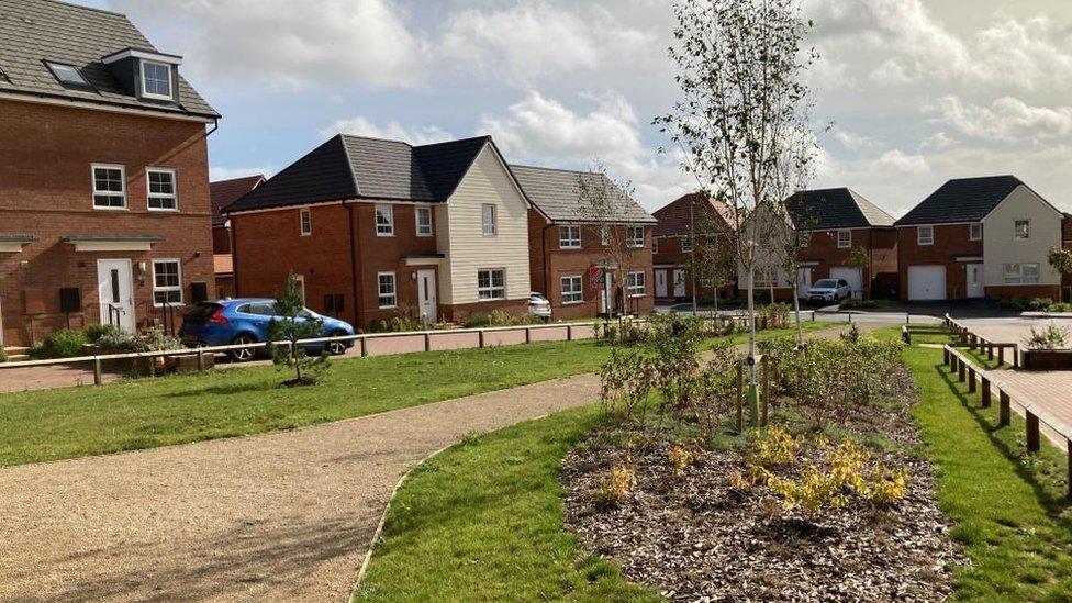 Part of new housing estate with grass "island" in the foreground, in the centre of which are some shrubs