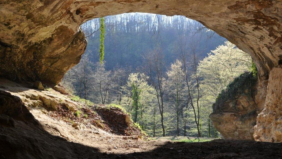 Vindija Cave, Croatia