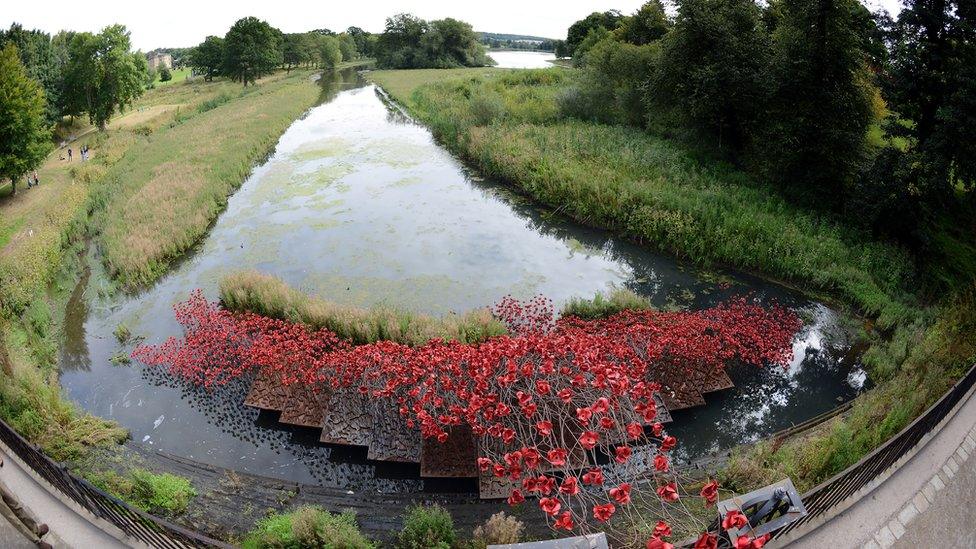 Poppies at Yorkshire Sculpture Park