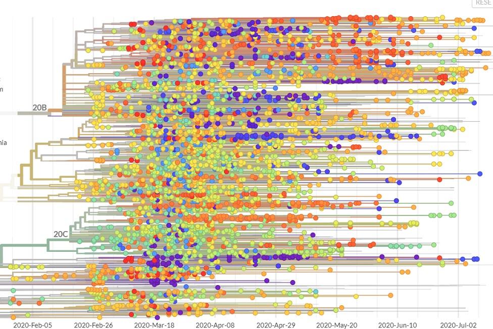 Data map showing track of genetic sequences of coronavirus in Europe