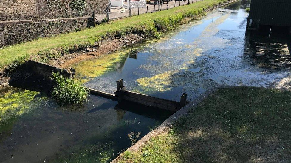 Neath Canal