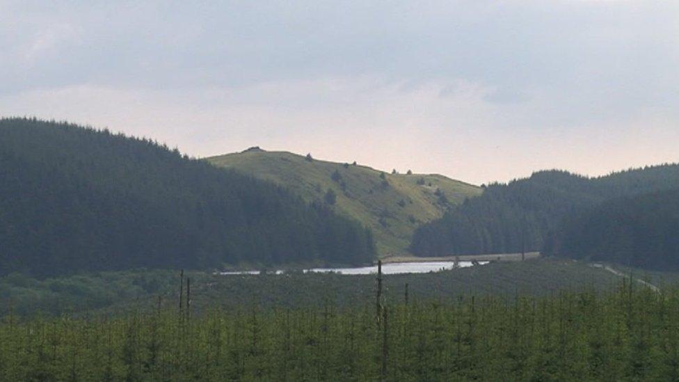 The scene of the rave near Llanddewi Brefi