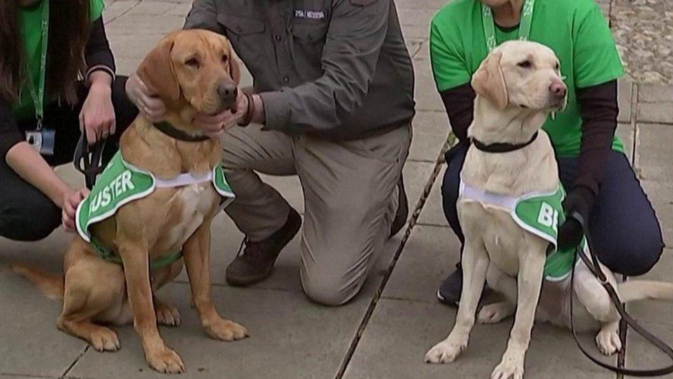 Buster, left, and Bess, right