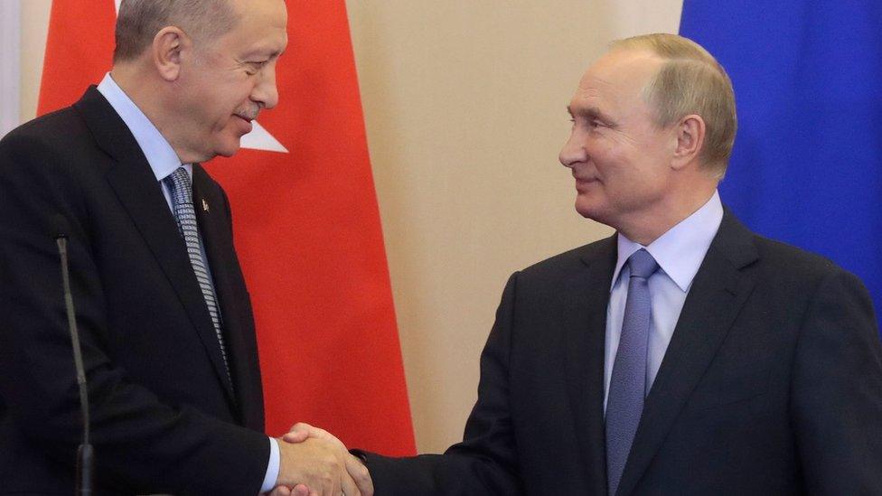 Turkish President Recep Tayyip Erdogan shakes hands with Russian President Vladimir Putin in Sochi, Russia (22 October 2019)