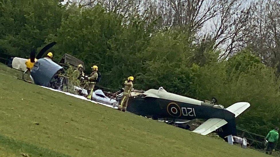 Downed Sea Fury plane