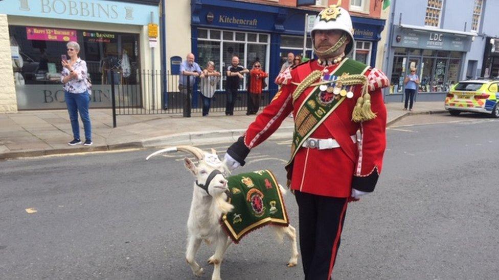 The Royal Welsh mascot, a goat