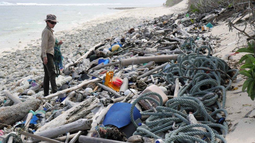 Debris on Cocos