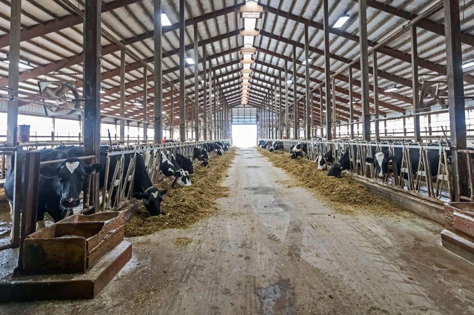 Farm in Omro, Wisconsin