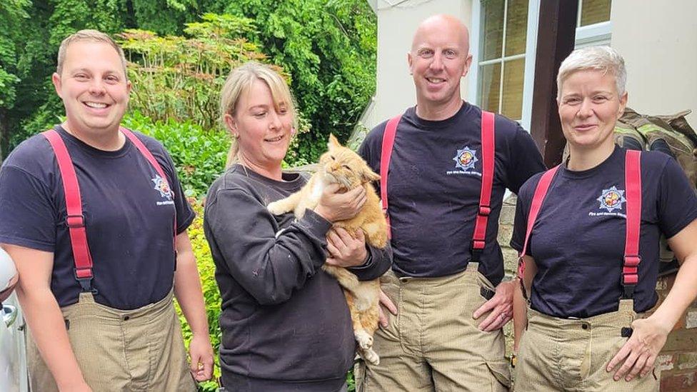 Bedfordshire Fire and Rescue Service handed Reggie back to his owner