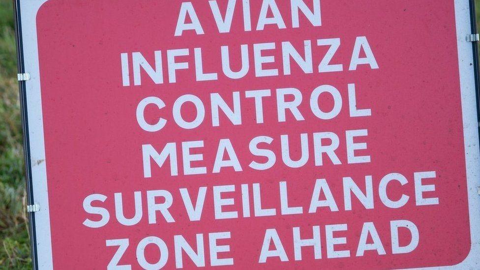 A photo of an avian flu sign