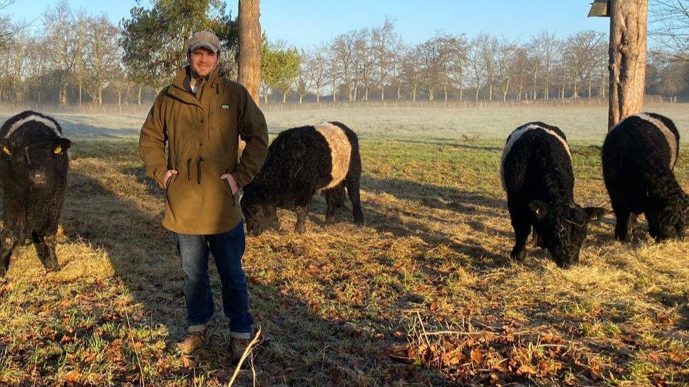 Ed Wombwell with cows in a field