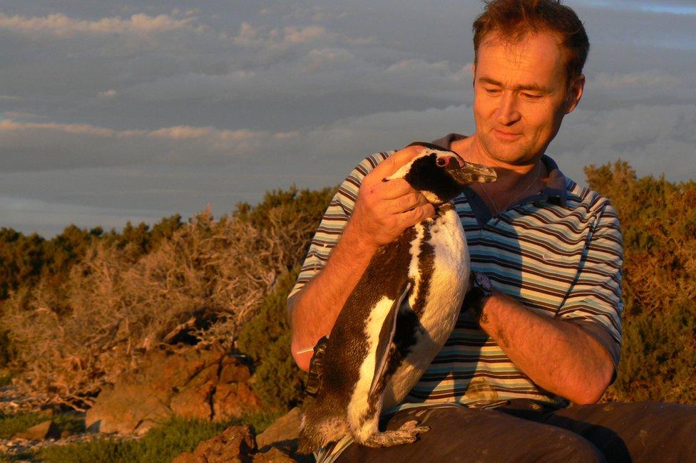 Prof Wilson holding a penguin