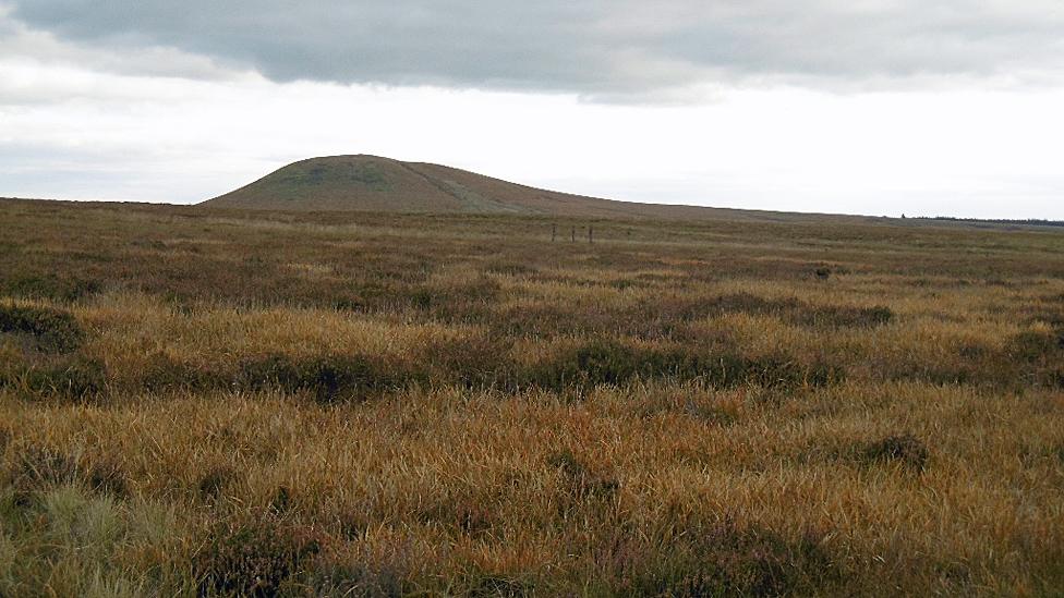 Langholm Moor