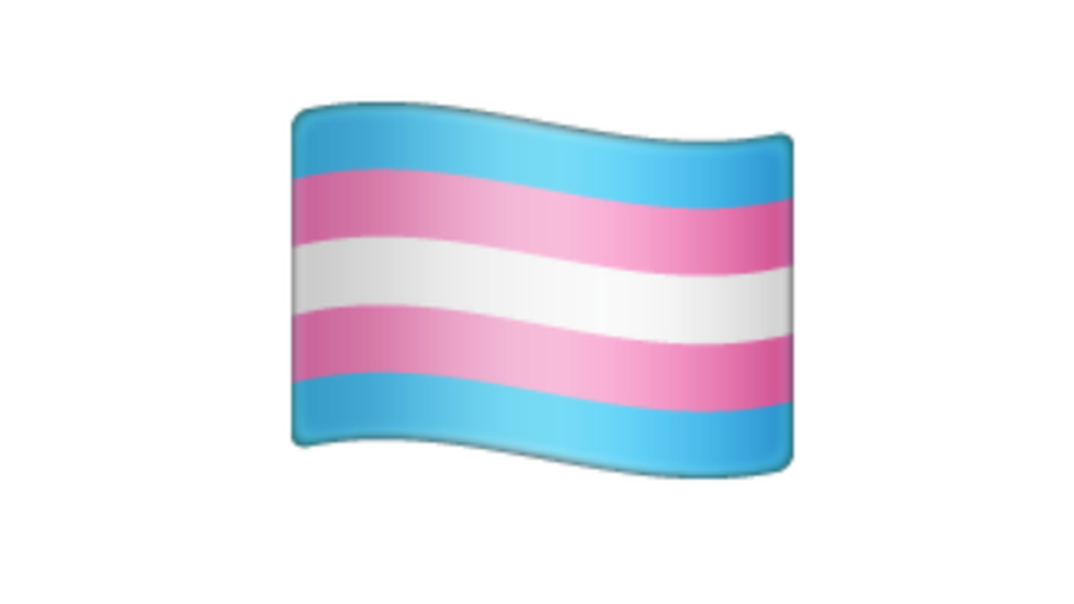 transgender flag