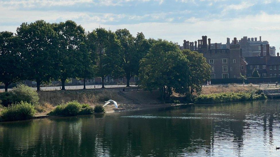 River Thames at Hampton Court