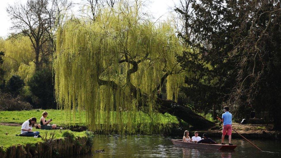 A punter on the River Cam in Cambridge