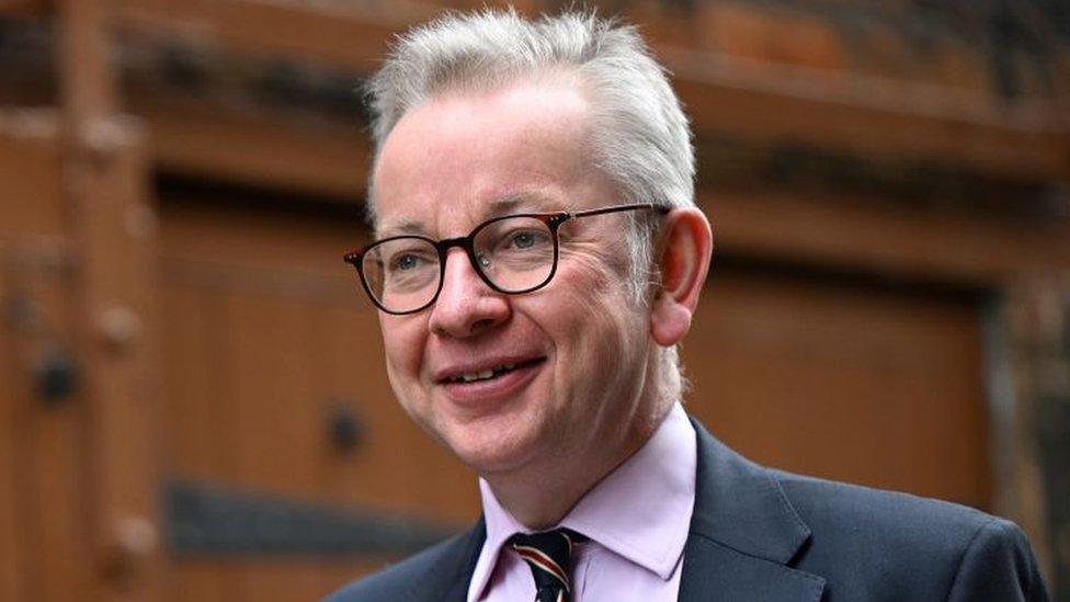 Cabinet minister Michael Gove