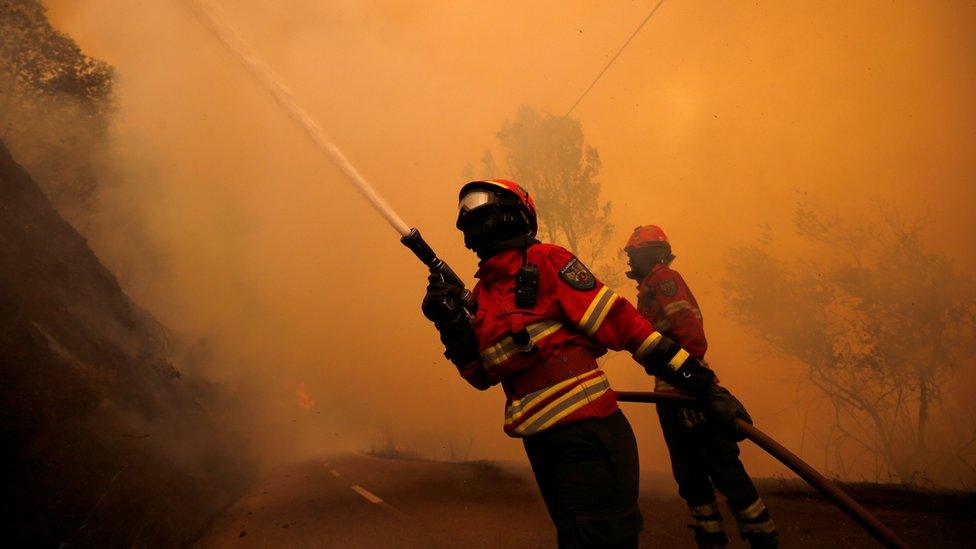 Firefighters work to put out a forest fire in the village of Sandinha, near Gois, Portugal, 20 June 2017