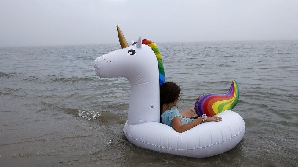 inflatable-unicorn.