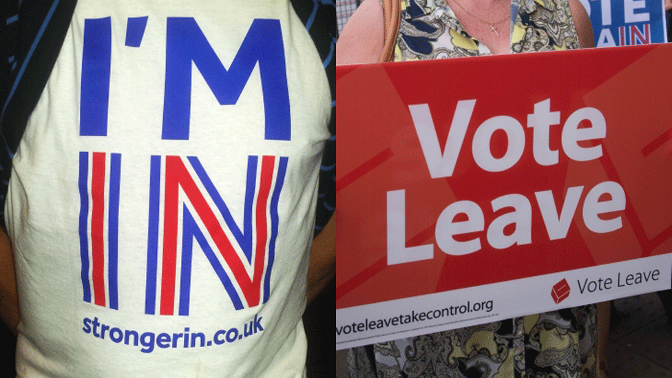 Remain and Leave campaigners