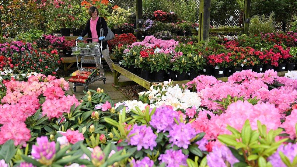 woman in garden centre