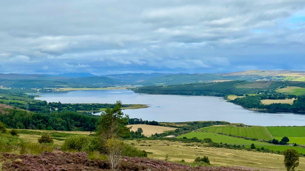 Midfearn Estate