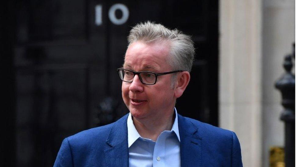 Michael Gove