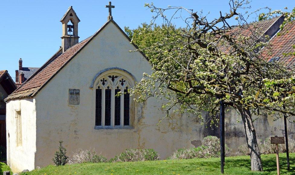 Glastonbury Holy Thorn, Glastonbury Abbey, Somerset