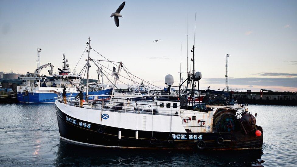 Fishing boat at Peterhead