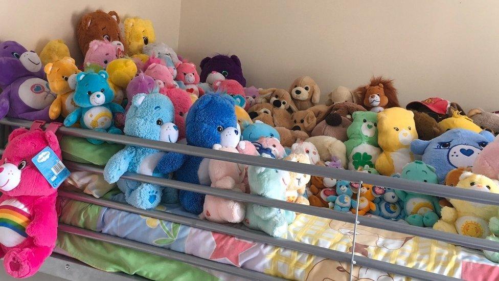 Jennifer Hawkins' collection of Care Bears