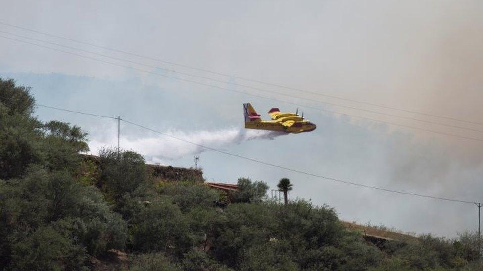 A plane dumps water on a wildfire in Gran Canaria