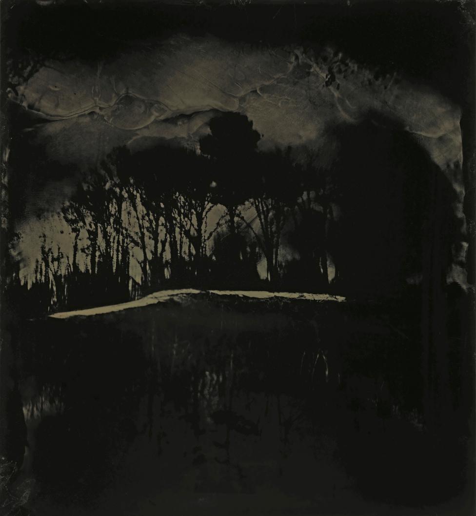 Tintype image of the Great Dismal Swamp in south-eastern Virginia, USA