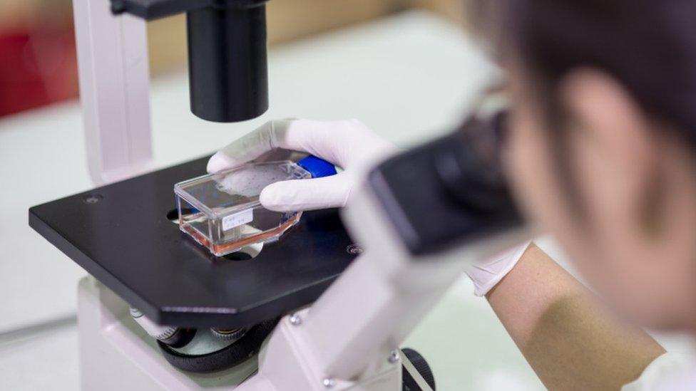 Scientist using microscope