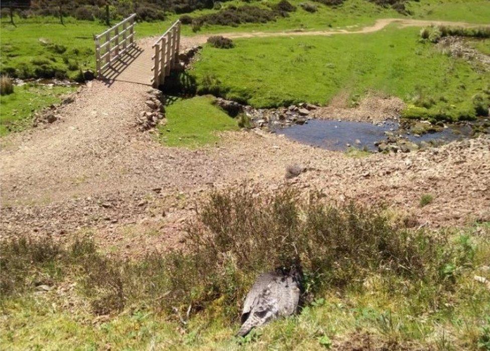 Green Cleuch in the Pentland Hills