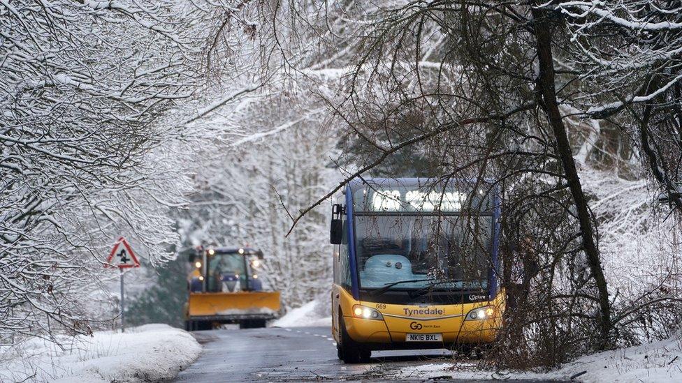 Bus stopped by a tree near Allenheads