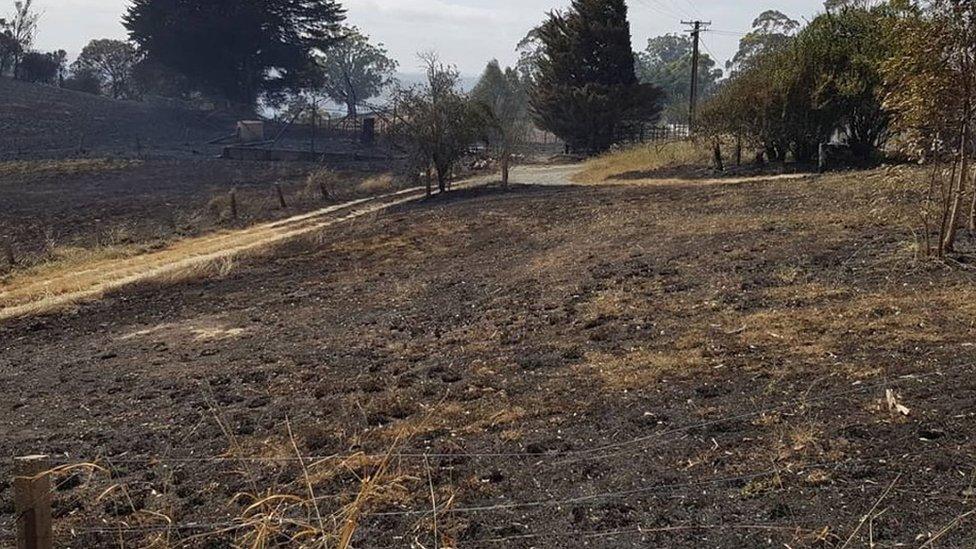 Blackened land at the Tilbrook Estate after wildfires in the Adelaide Hills.