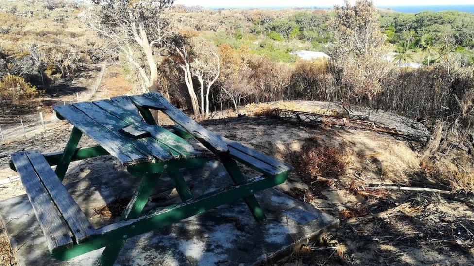 Bushfires have damaged much of Fraser Island's dry bush