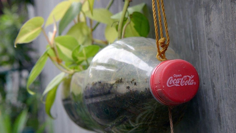 coca-cola-bottle-growing-plant.